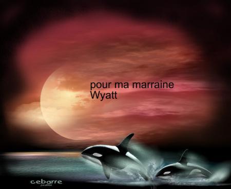 voila c tof por marina